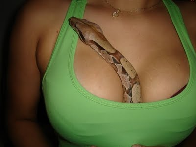 snake-girls-11.jpg